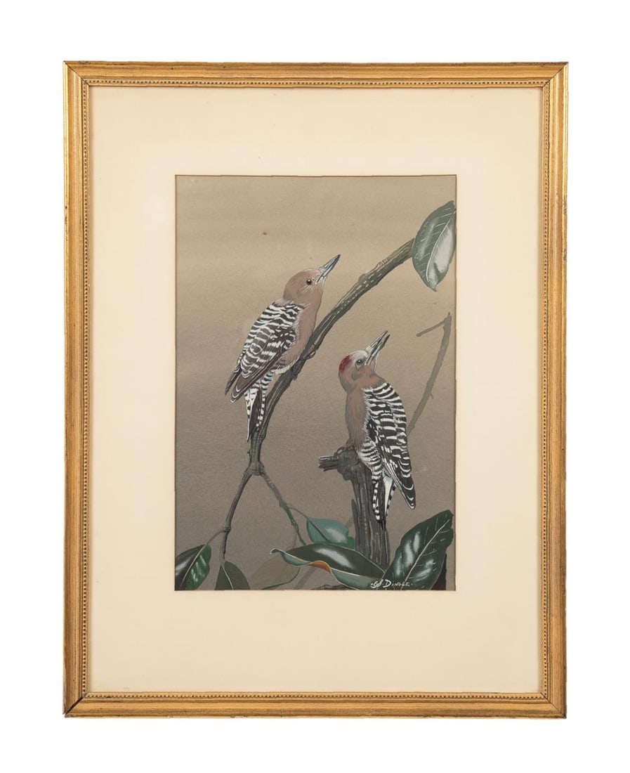 EDWARD VON SIEBOLD DINGLE SIGNED