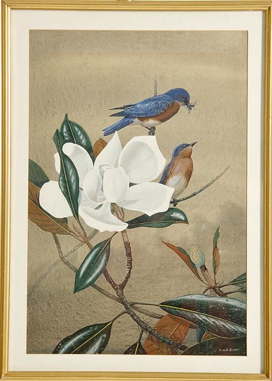 Edward Von Siebold Dingle (South