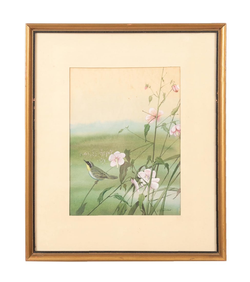 EDWARD VON SIEBOLD DINGLE YELLOW