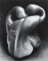 EDWARD WESTON (AMERICAN 1886-1