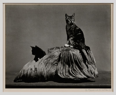 Edward Weston Photograph (American,