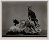 Edward Weston Photograph (Amer