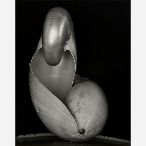 EDWARD WESTON "TWO SHELLS" (GELATIN