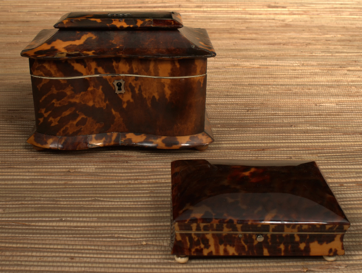 Edwardian Tortoiseshell and Bone