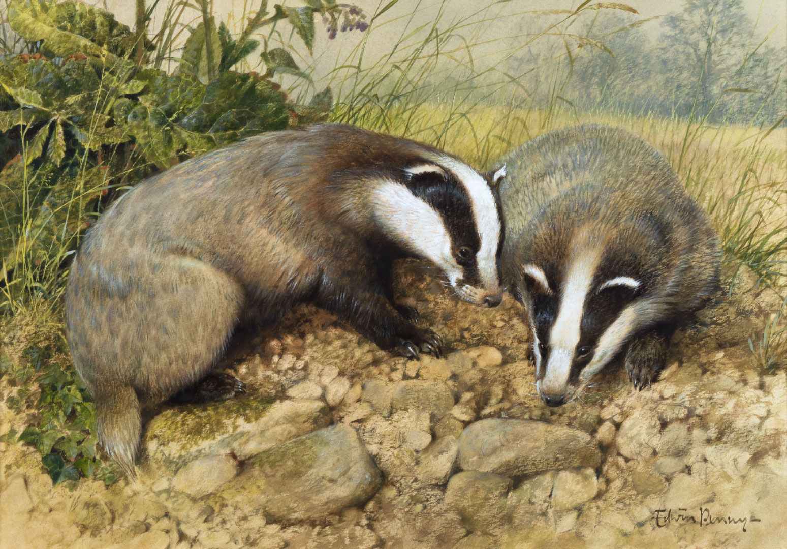 EDWIN PENNY (1930-2016), BADGER