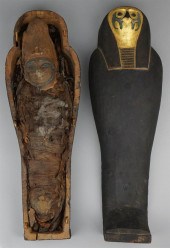 EGYPTIAN CORN MUMMY IN FALCON