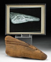 EGYPTIAN MUMMIFIED IBIS + X-RA