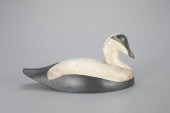 EIDER DRAKEJohn Zwicker (1849-