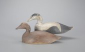 EIDER PAIRPennell Alexander (1