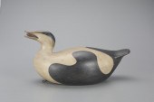 EIDER WITH MUSSELMark S. McNai