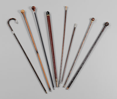 Eight Assorted Walking Sticks,