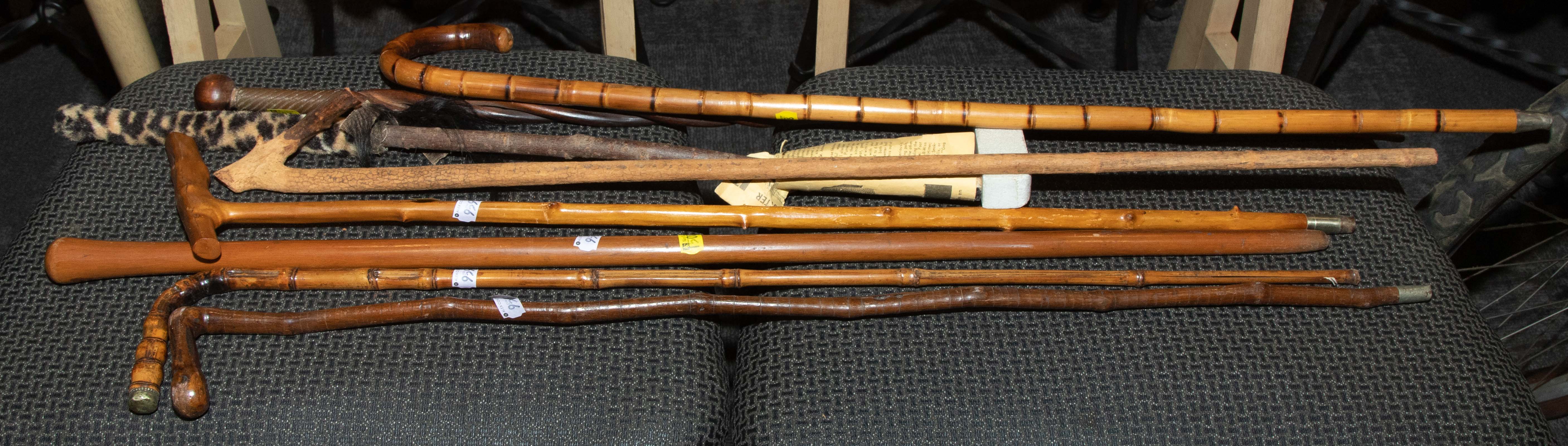 EIGHT CANES & WALKING STICKS
