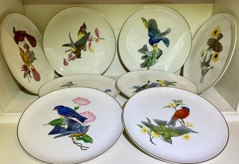 Eight china plates with different