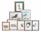 EIGHT FRAMED BIRD PRINTS. Amer