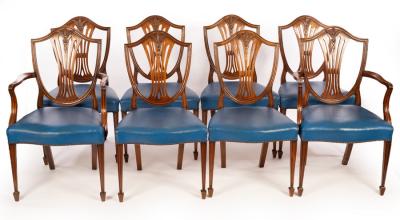 Eight mahogany shield back dining