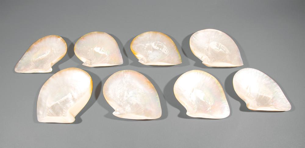 EIGHT MOTHER-OF-PEARL SHELL