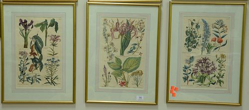 EIGHT PIECE GROUP OF JOHN W. HILL