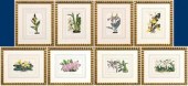 Eight prints of orchids, Van H