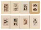 EIGHT SEASHELL BOOKPLATES 19TH