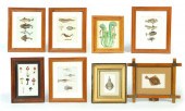 EIGHT SPECIMEN PRINTS.  Handco