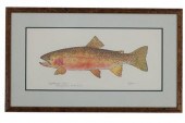 EILEEN KLATT CUTTHROAT TROUT F