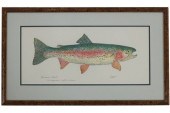 EILEEN KLATT RAINBOW TROUT FRA