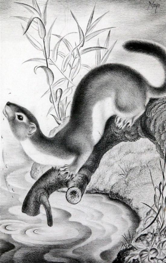 Eileen Mayo (1906-1994) charcoal