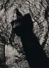 EISENSTAEDT, ALFRED (1898-1995