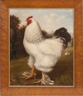 E.J. ASTON: FANCY CHICKEN IN A