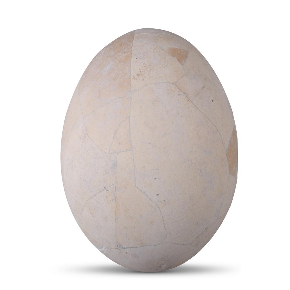 ELEPHANT BIRD EGG HEIGHT: 12 IN.