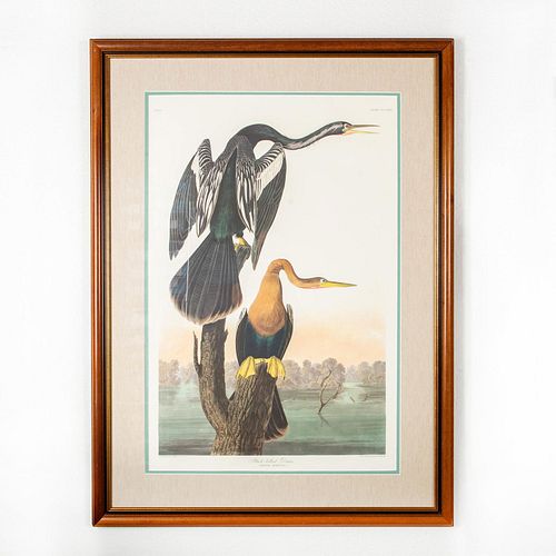 ELEPHANT FOLIO LITHOGRAPH PRINT,