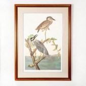 ELEPHANT FOLIO LITHOGRAPH PRIN
