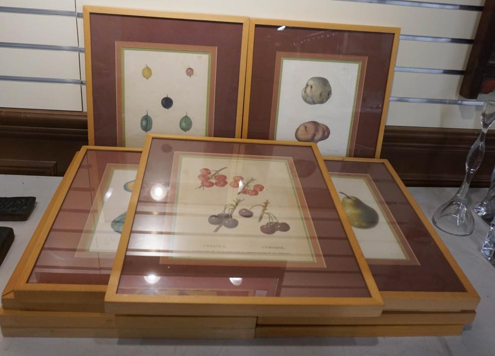 ELEVEN BOTANICAL COLOR LITHOGRAPHS,