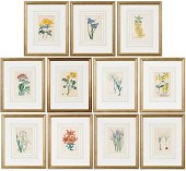 ELEVEN PRINTS, SYDENHAM EDWARD