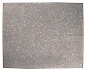 ELIZABETH EAKINS HAND-TUFTED R