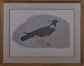 ELIZABETH FRINK (1930-1993): W