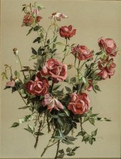 ELIZABETH NOURSE (AMERICAN 185