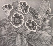 ELIZABETH SALTONSTALL (1900-19