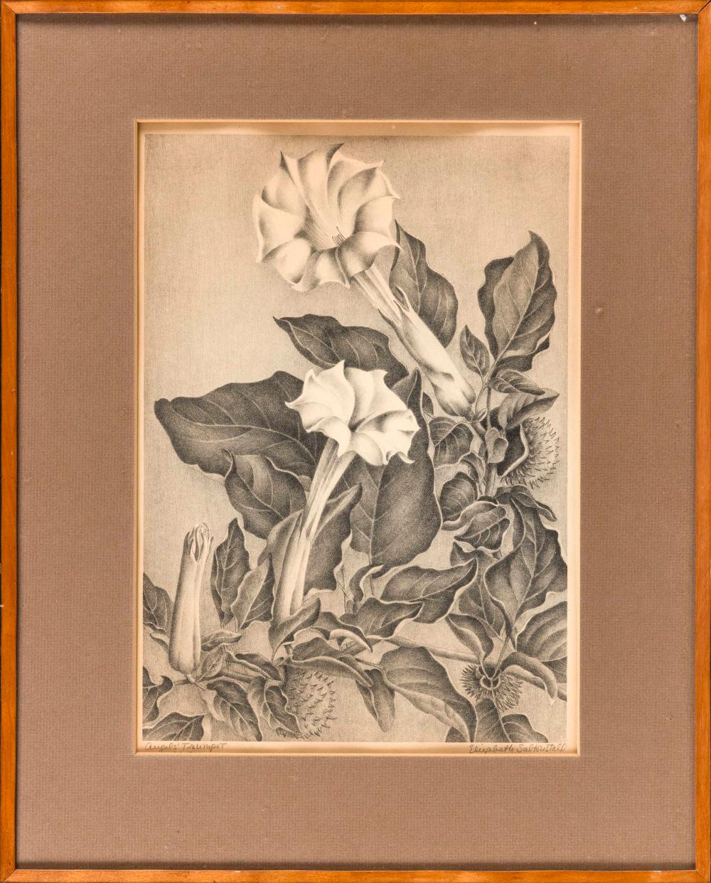ELIZABETH SALTONSTALL