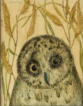 ELIZABETH SALTONSTALL MINIATUR