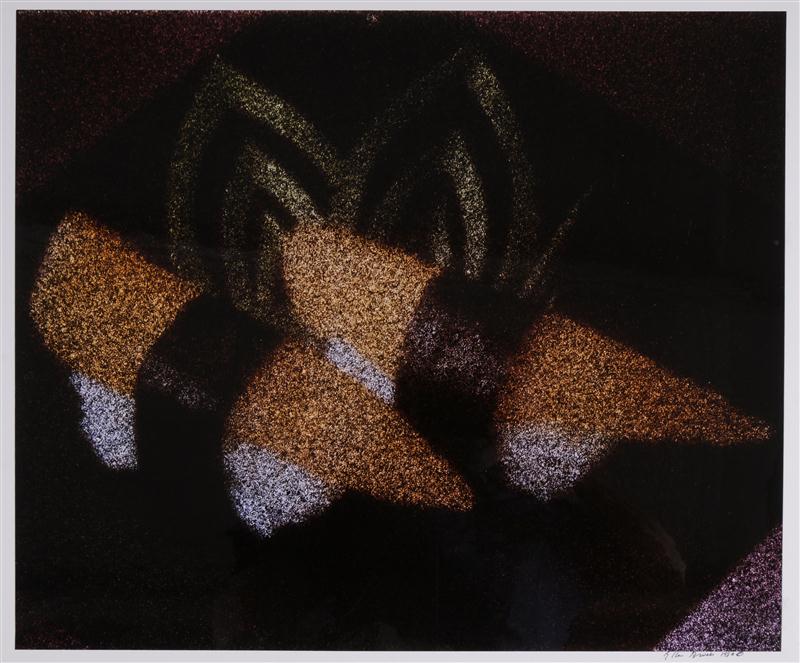 ELLEN BROOKS (AMERICAN b. 1946):