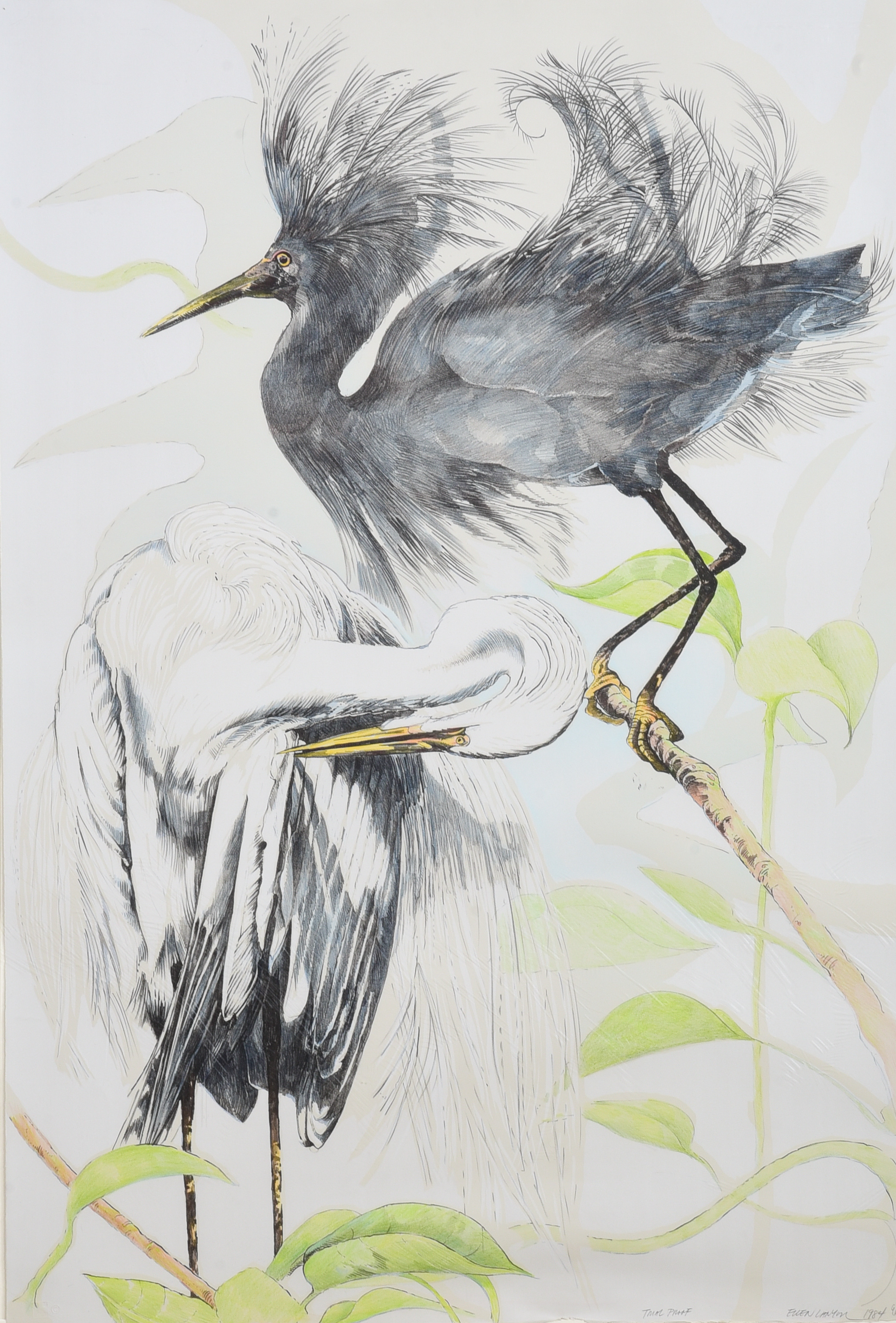 Ellen Lanyon (American,