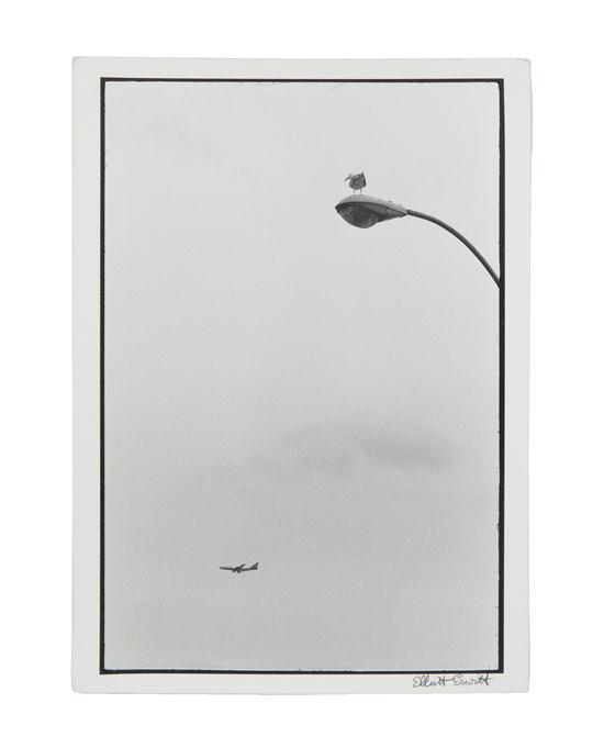 Elliott Erwitt (American b. 1928)