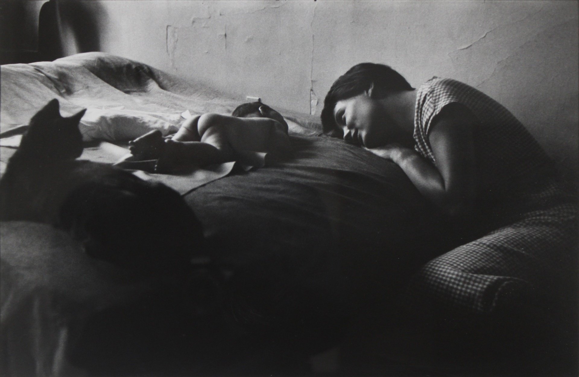 ELLIOTT ERWITT (AMERICAN,