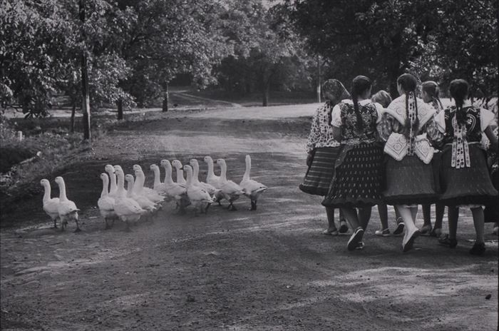 ELLIOTT ERWITT (b. 1928): HUNGARY