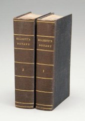 Elliott, Sketch of Botany : St