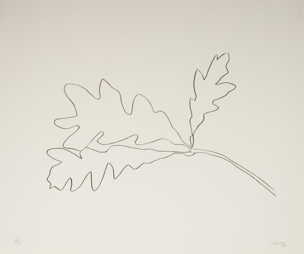 ELLSWORTH KELLY (1923-2015): OAK