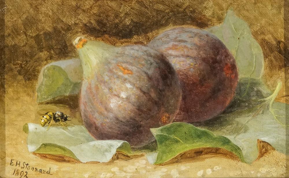 ELOISE HARRIET STANNARD, (BRITISH