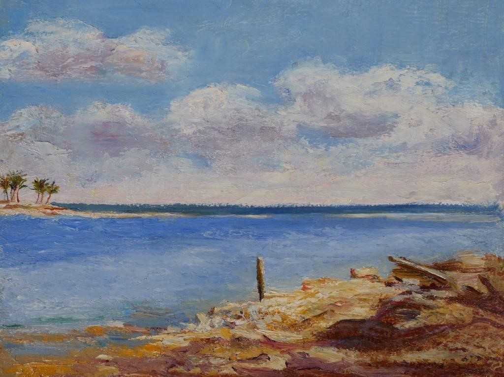 ELOISE MC WILLIAMS FLORIDA ARTIST