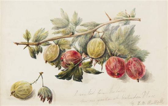 Elsa Mary Russell (Australian b.